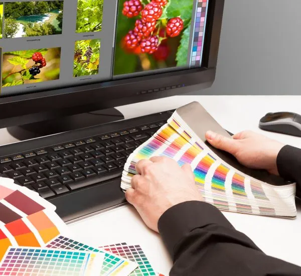 Designer Choosing Colour Samples Designer Choosing Colour Samples